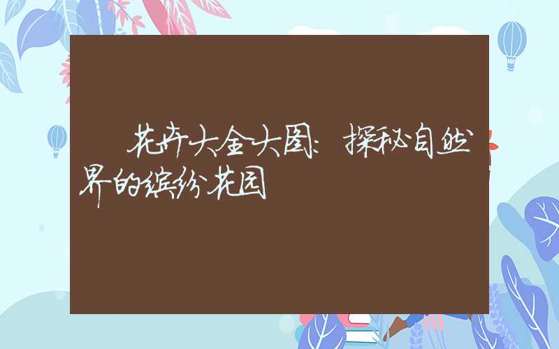 花卉大全大图:探秘自然界的缤纷花园